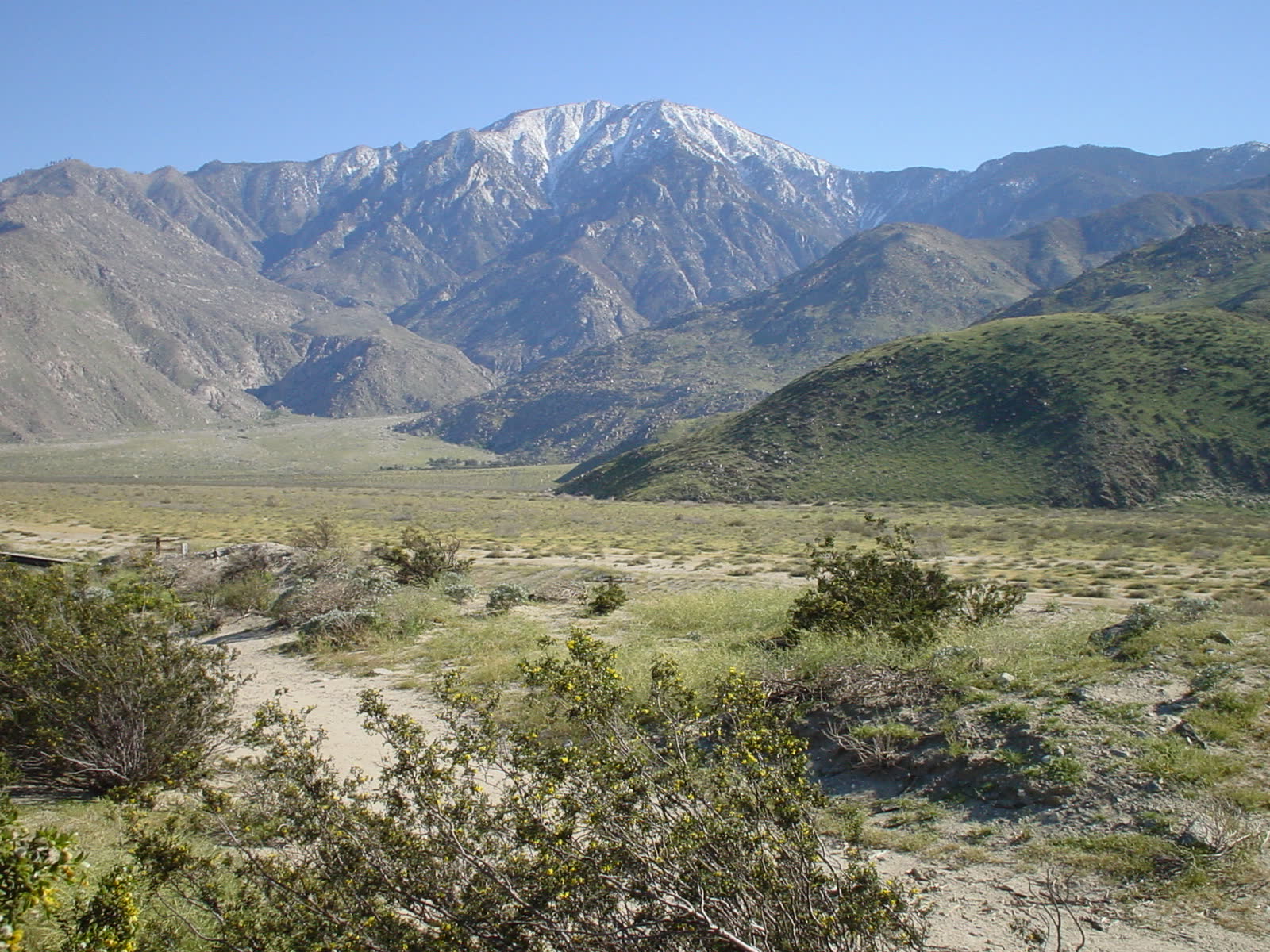 Palm Springs